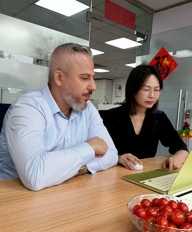 Consultant and client reviewing a market-entry plan together on a laptop in a modern office
